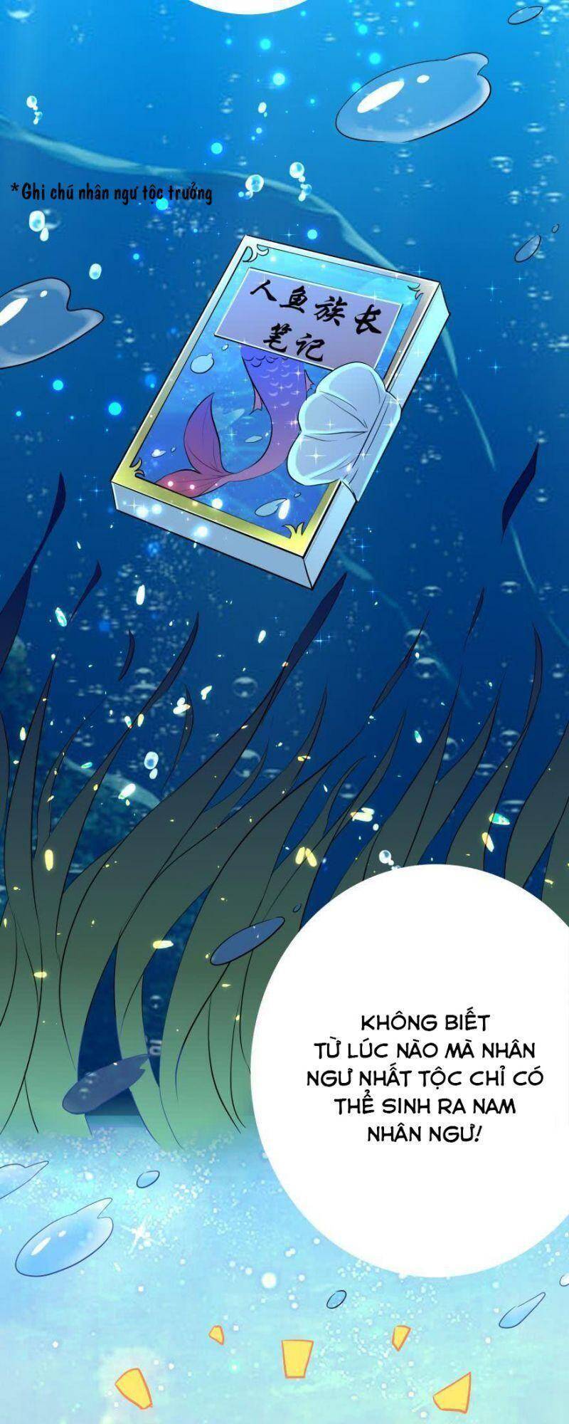Nhân Ngư Học Trưởng, Đừng Ôm Ta! Chapter 2 - 32