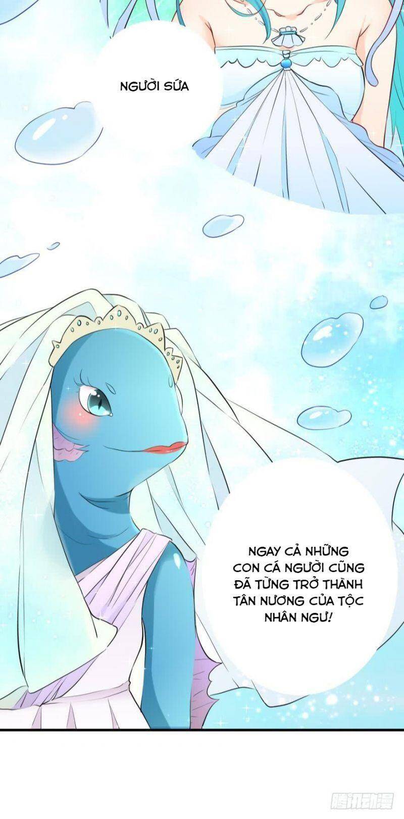 Nhân Ngư Học Trưởng, Đừng Ôm Ta! Chapter 2 - 35