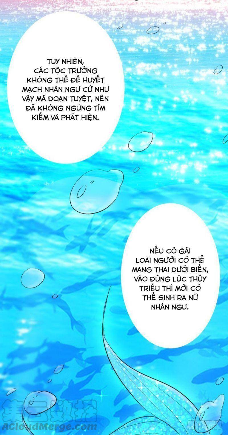 Nhân Ngư Học Trưởng, Đừng Ôm Ta! Chapter 2 - 38