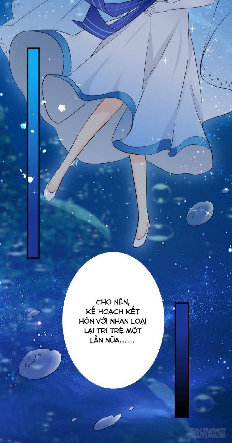 Nhân Ngư Học Trưởng, Đừng Ôm Ta! Chapter 2 - 40