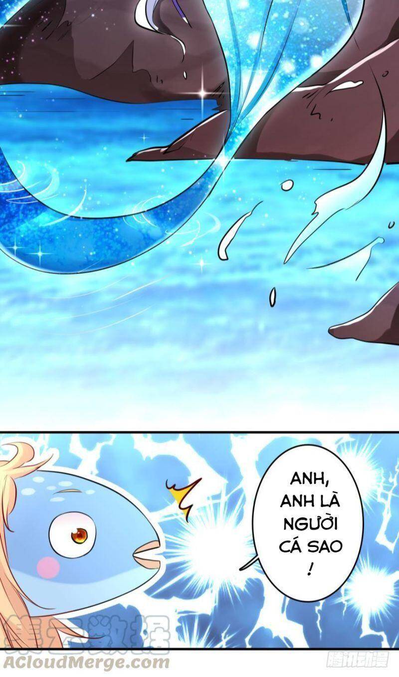 Nhân Ngư Học Trưởng, Đừng Ôm Ta! Chapter 20 - 34