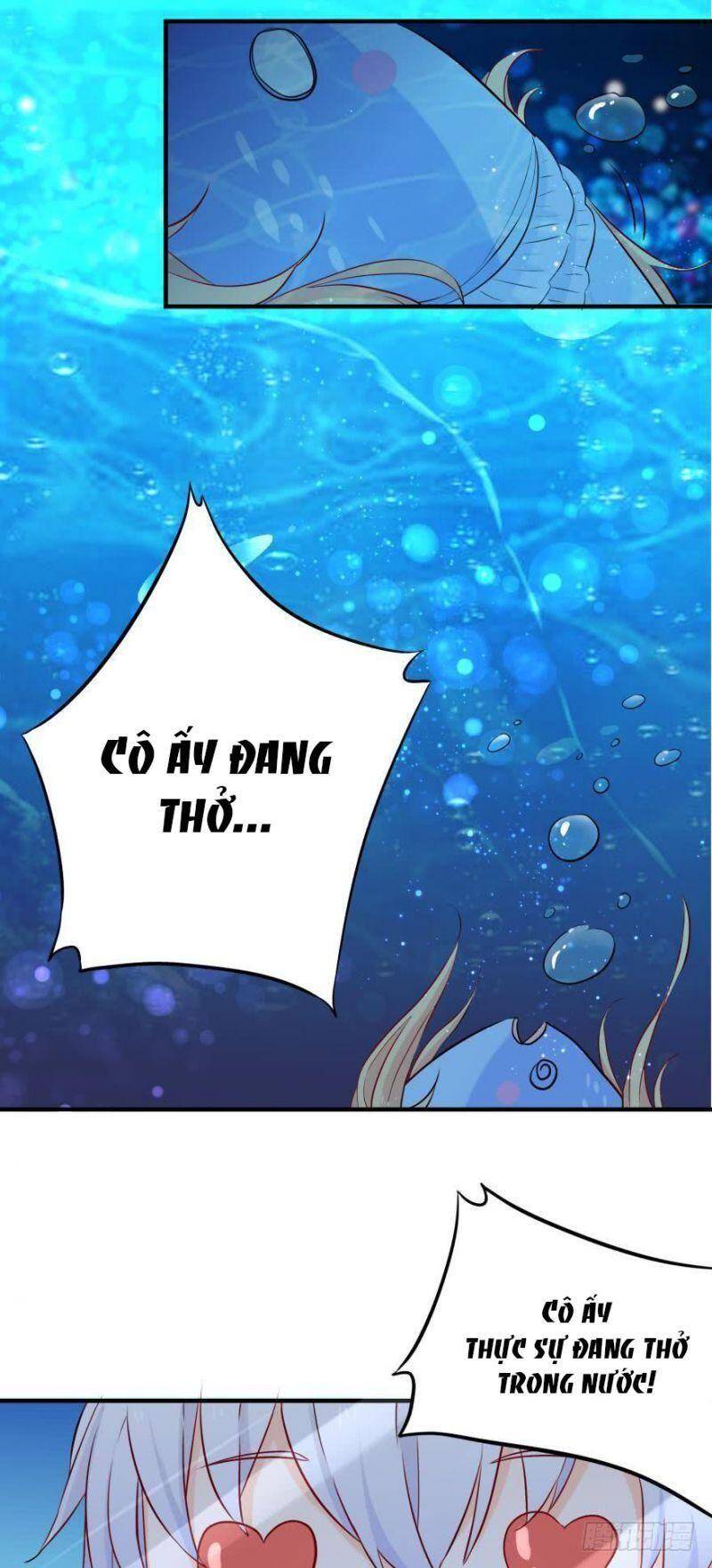 Nhân Ngư Học Trưởng, Đừng Ôm Ta! Chapter 3 - 17