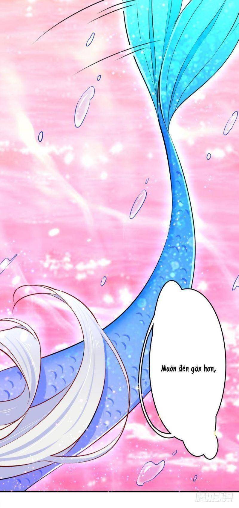Nhân Ngư Học Trưởng, Đừng Ôm Ta! Chapter 4 - 22