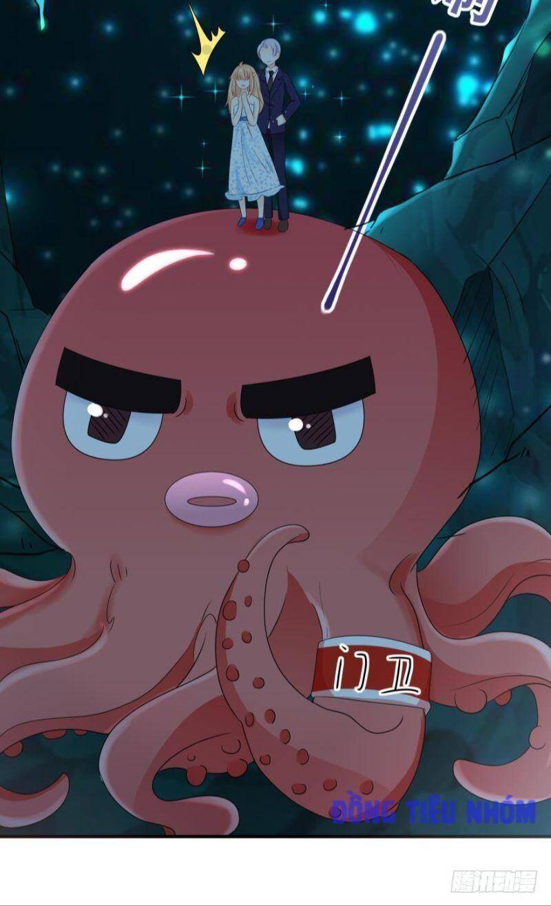 Nhân Ngư Học Trưởng, Đừng Ôm Ta! Chapter 45 - 13