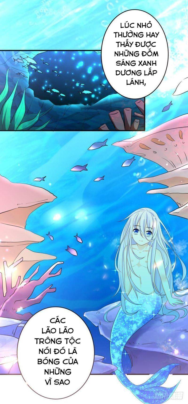 Nhân Ngư Học Trưởng, Đừng Ôm Ta! Chapter 45 - 21