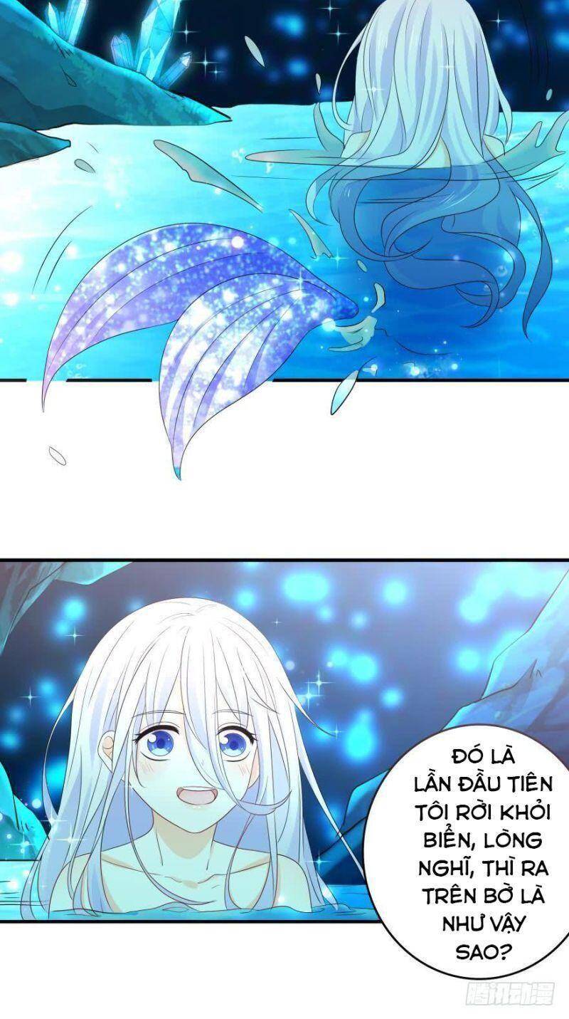 Nhân Ngư Học Trưởng, Đừng Ôm Ta! Chapter 45 - 23