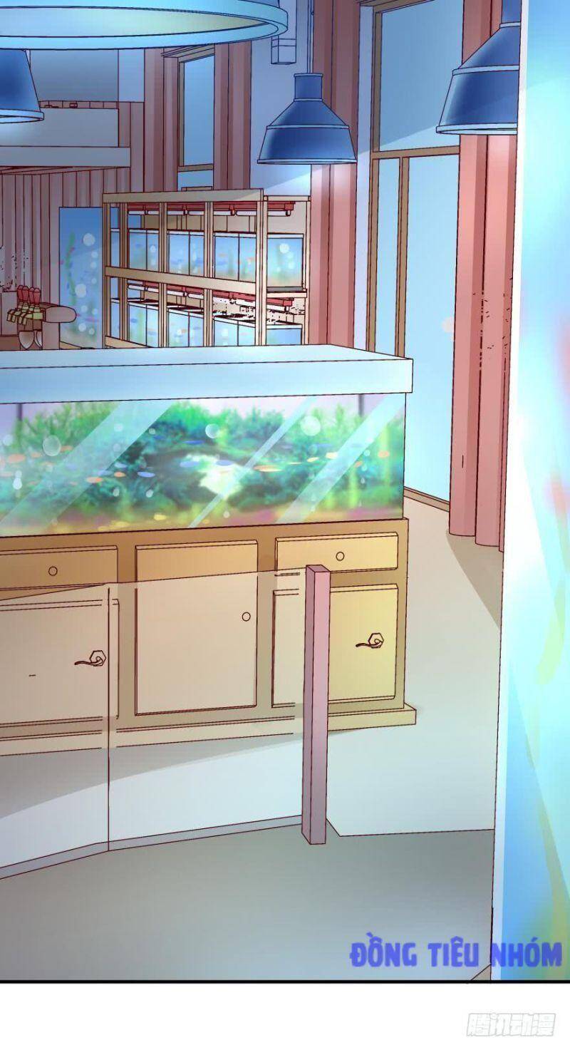 Nhân Ngư Học Trưởng, Đừng Ôm Ta! Chapter 49 - 12