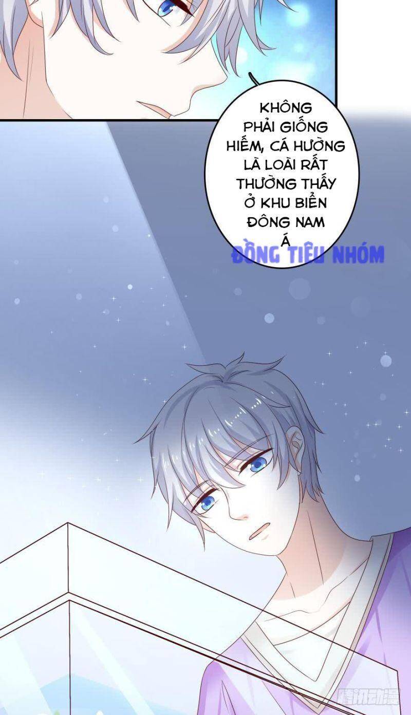 Nhân Ngư Học Trưởng, Đừng Ôm Ta! Chapter 49 - 21