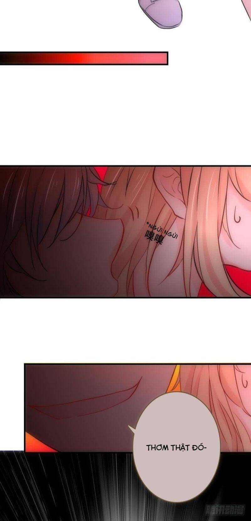 Nhân Ngư Học Trưởng, Đừng Ôm Ta! Chapter 5 - 17