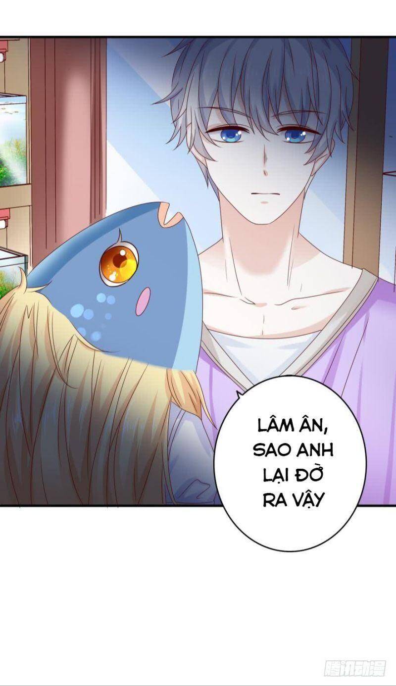 Nhân Ngư Học Trưởng, Đừng Ôm Ta! Chapter 50 - 17