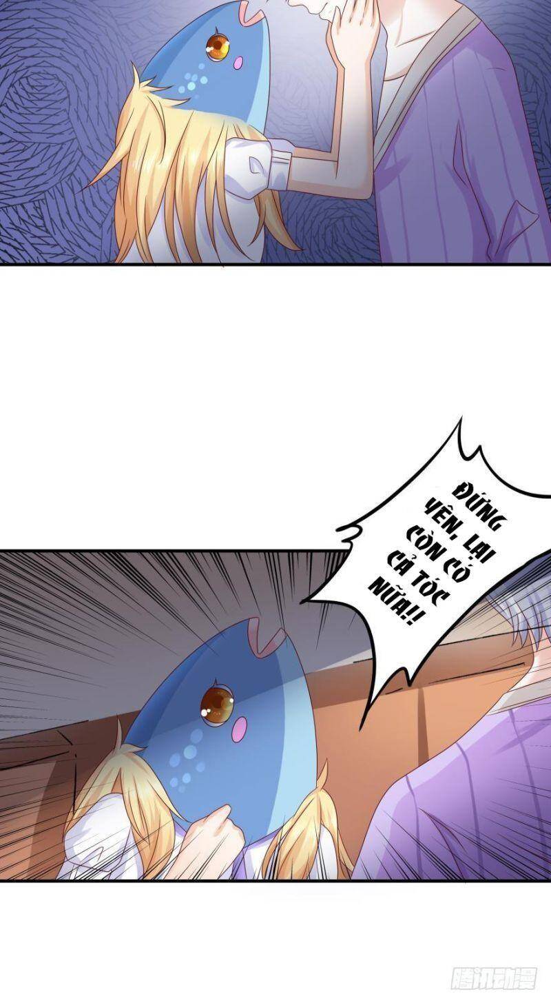 Nhân Ngư Học Trưởng, Đừng Ôm Ta! Chapter 50 - 19