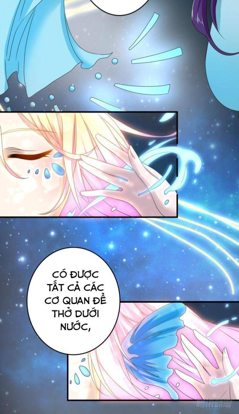Nhân Ngư Học Trưởng, Đừng Ôm Ta! Chapter 51 - 13