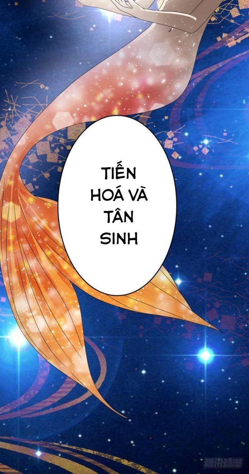 Nhân Ngư Học Trưởng, Đừng Ôm Ta! Chapter 51 - 28