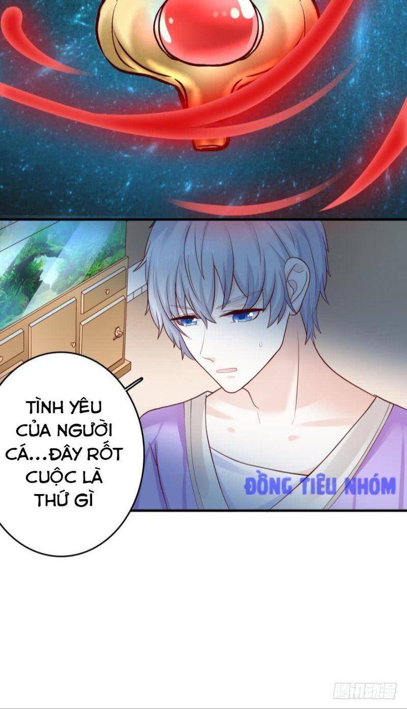 Nhân Ngư Học Trưởng, Đừng Ôm Ta! Chapter 52 - 15