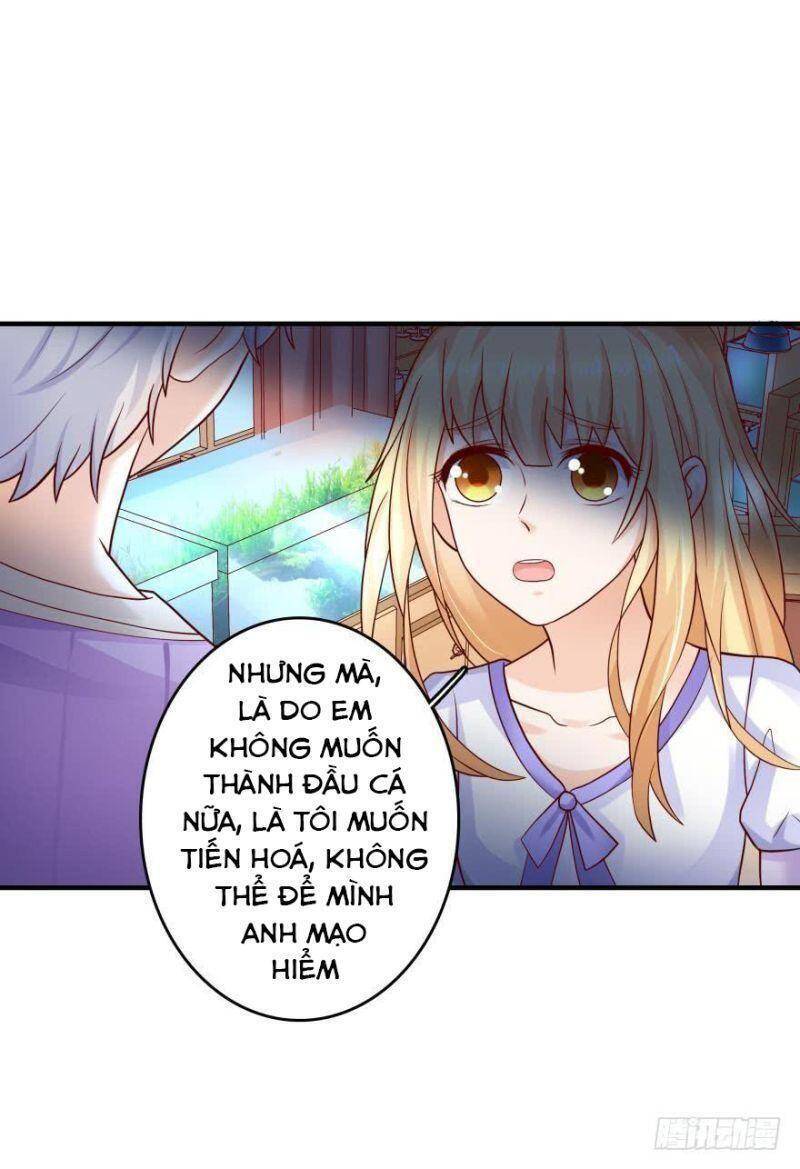 Nhân Ngư Học Trưởng, Đừng Ôm Ta! Chapter 52 - 25