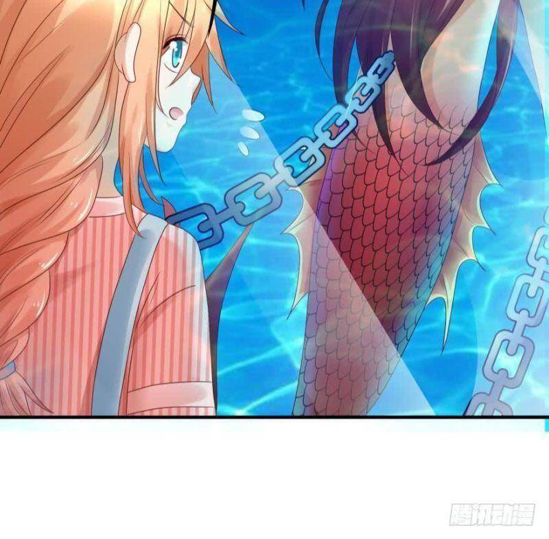 Nhân Ngư Học Trưởng, Đừng Ôm Ta! Chapter 54 - 21