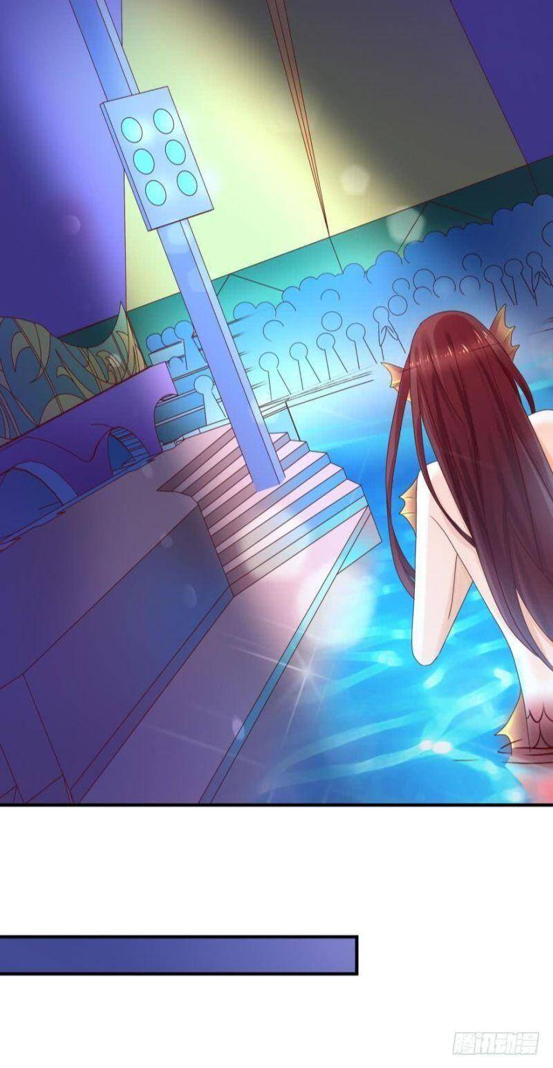 Nhân Ngư Học Trưởng, Đừng Ôm Ta! Chapter 57 - 15