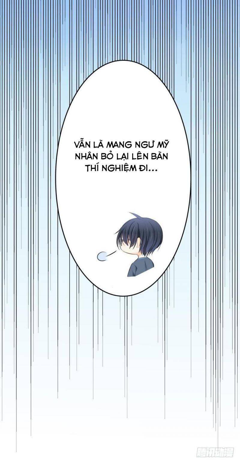 Nhân Ngư Học Trưởng, Đừng Ôm Ta! Chapter 6 - 38