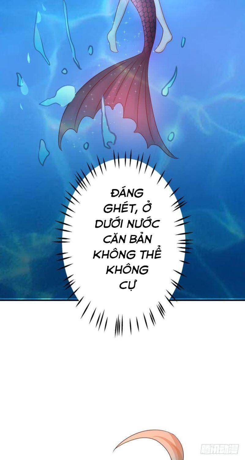 Nhân Ngư Học Trưởng, Đừng Ôm Ta! Chapter 60 - 11