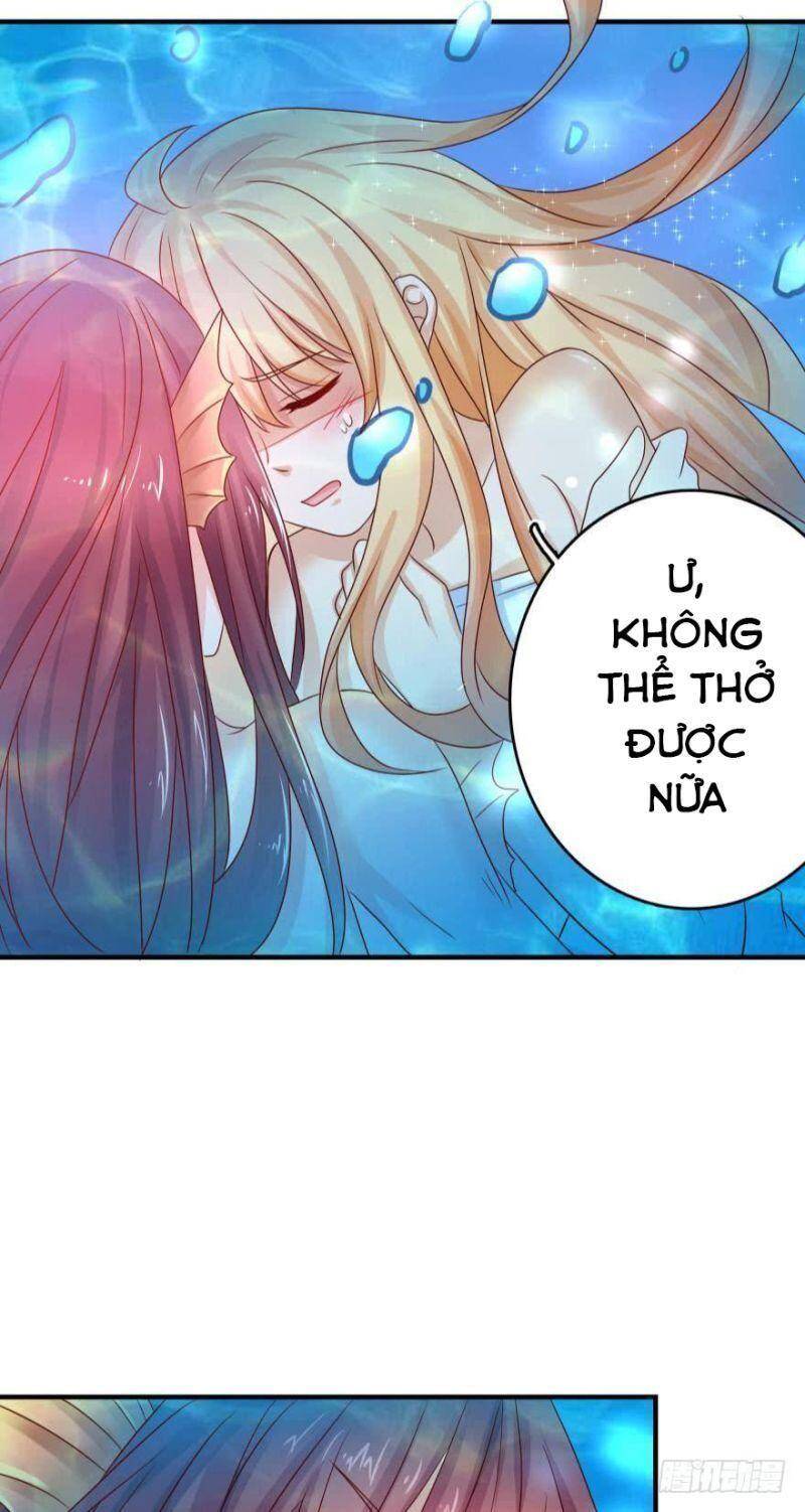 Nhân Ngư Học Trưởng, Đừng Ôm Ta! Chapter 60 - 12