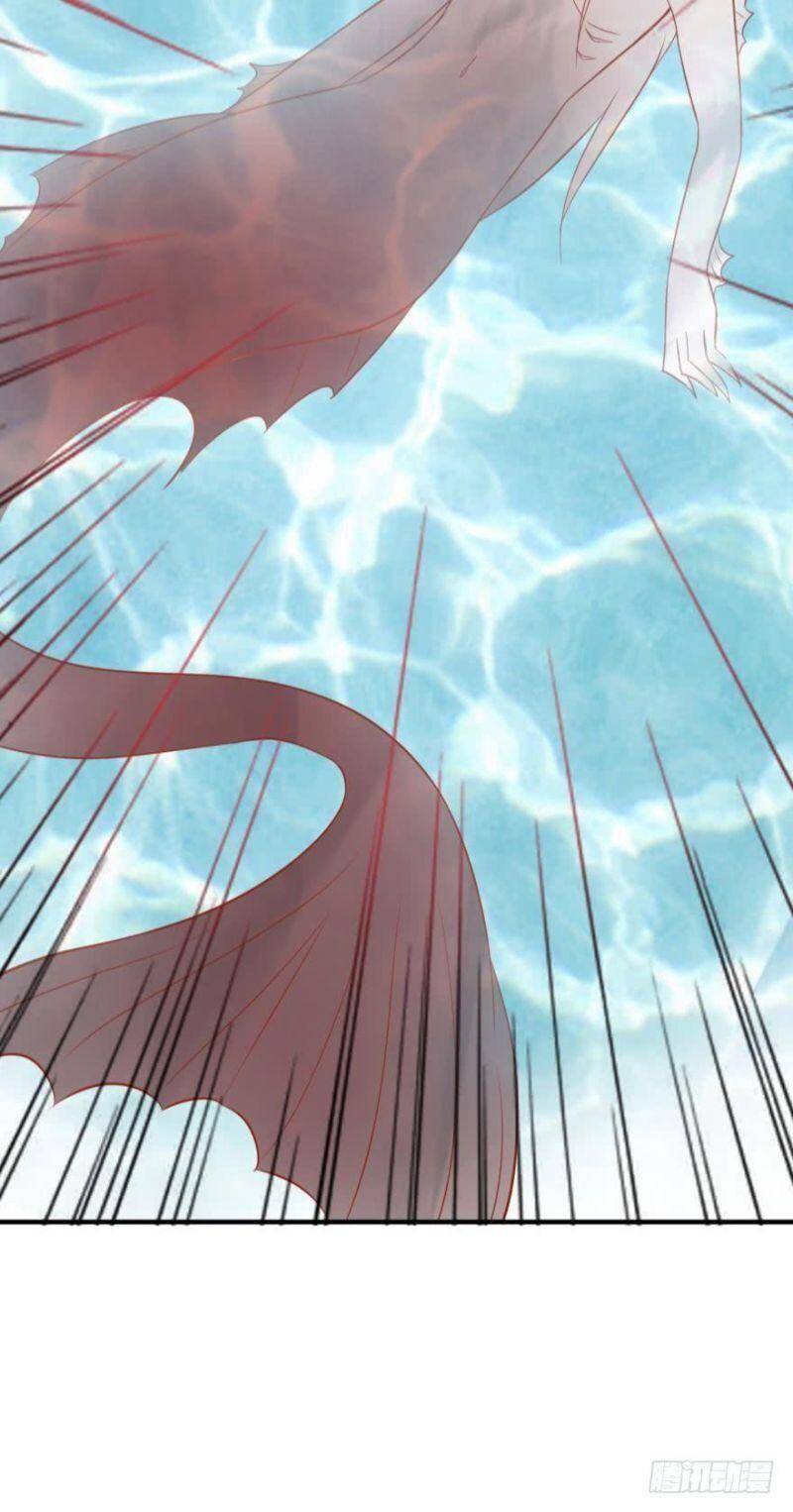 Nhân Ngư Học Trưởng, Đừng Ôm Ta! Chapter 61 - 29