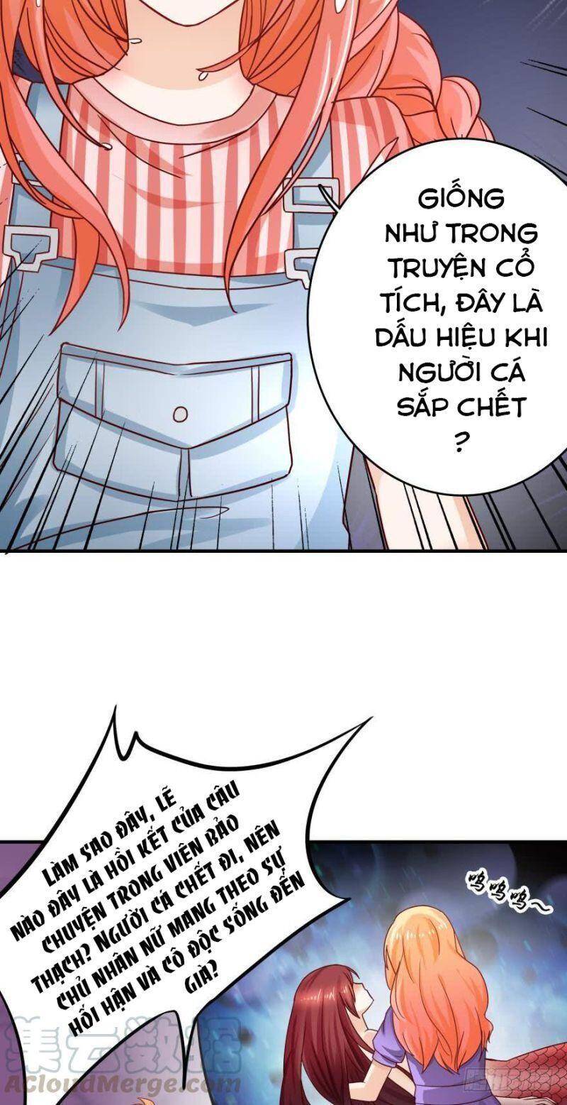 Nhân Ngư Học Trưởng, Đừng Ôm Ta! Chapter 62 - 18