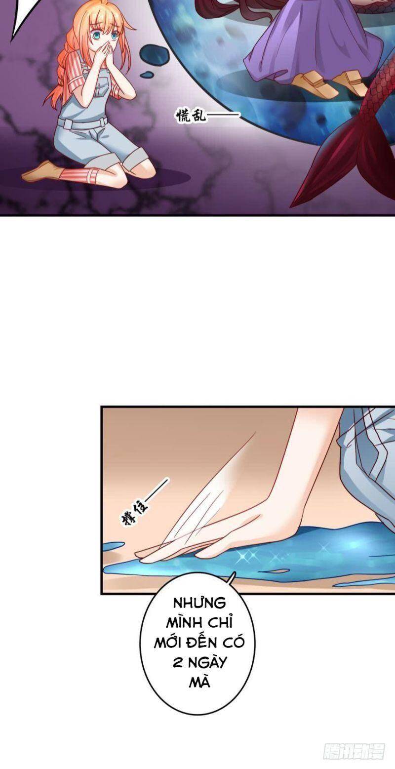 Nhân Ngư Học Trưởng, Đừng Ôm Ta! Chapter 62 - 19