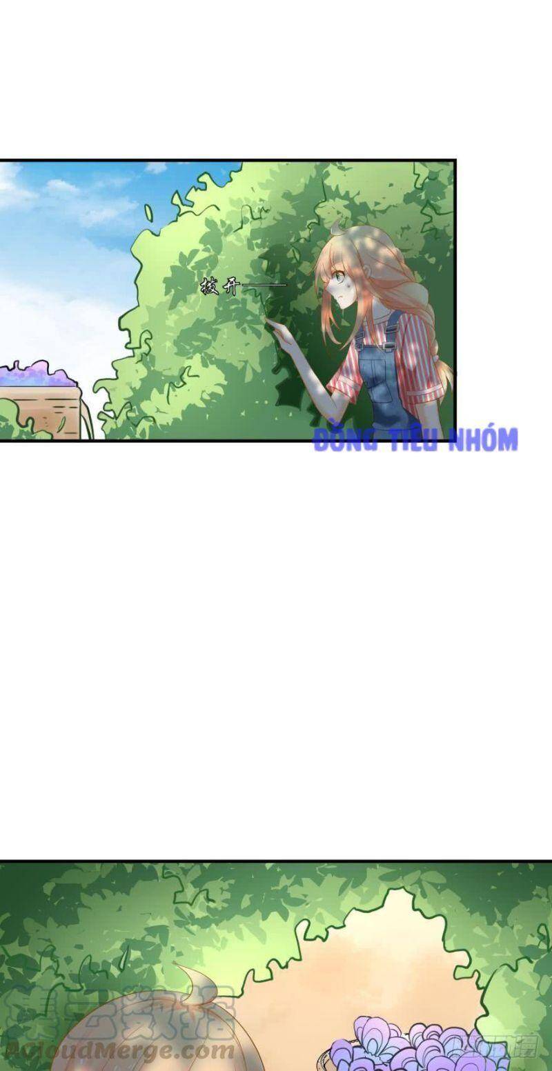 Nhân Ngư Học Trưởng, Đừng Ôm Ta! Chapter 64 - 22