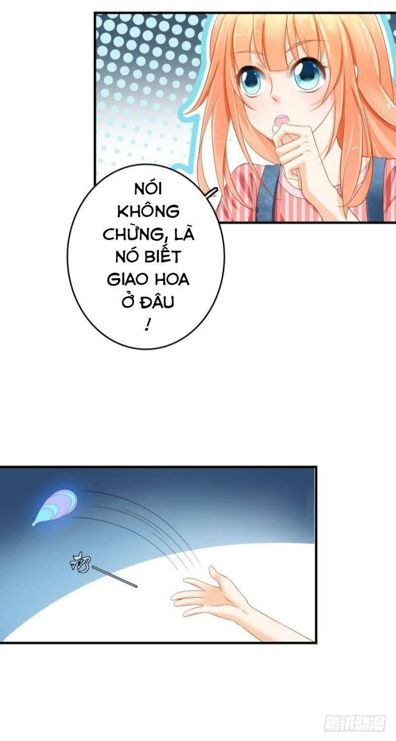 Nhân Ngư Học Trưởng, Đừng Ôm Ta! Chapter 64 - 4