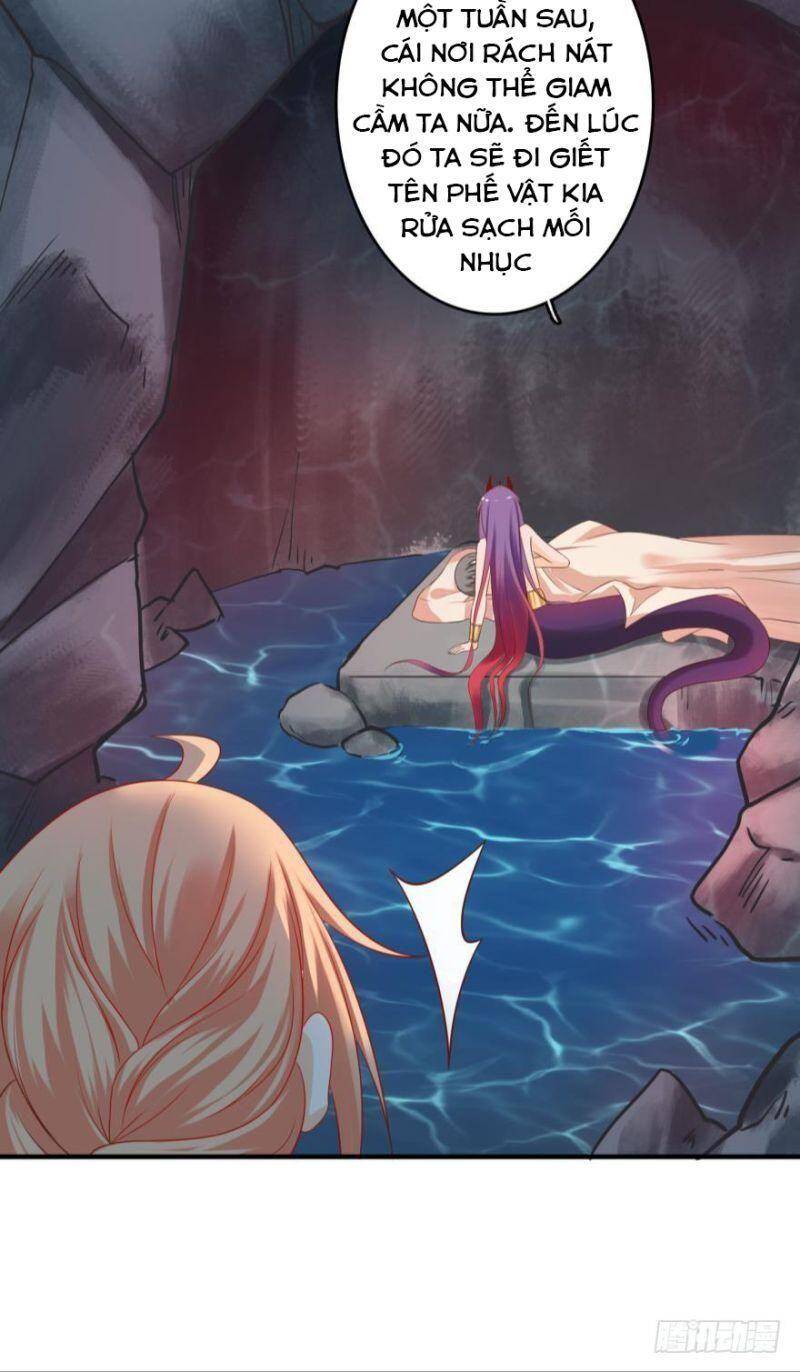 Nhân Ngư Học Trưởng, Đừng Ôm Ta! Chapter 66 - 23