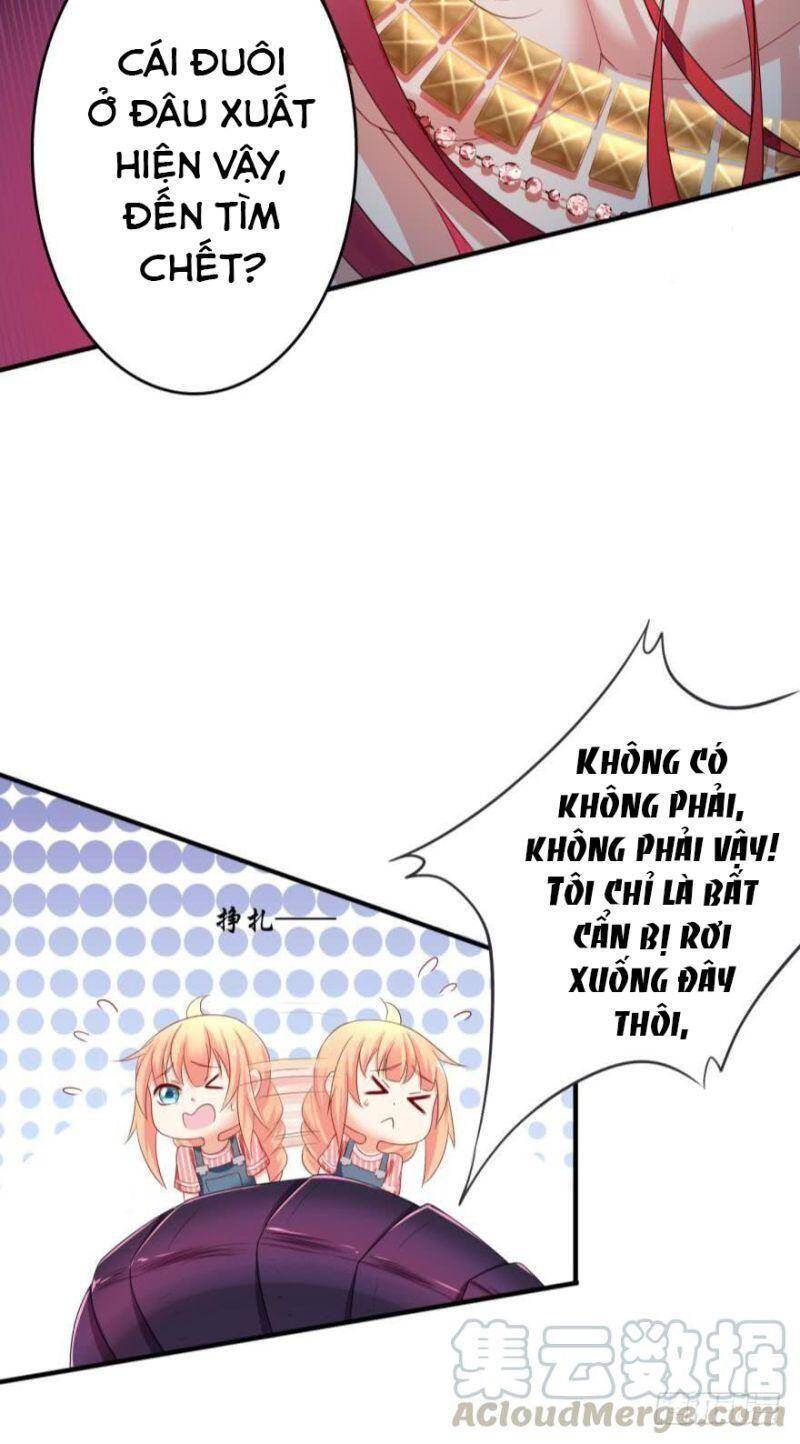 Nhân Ngư Học Trưởng, Đừng Ôm Ta! Chapter 67 - 9