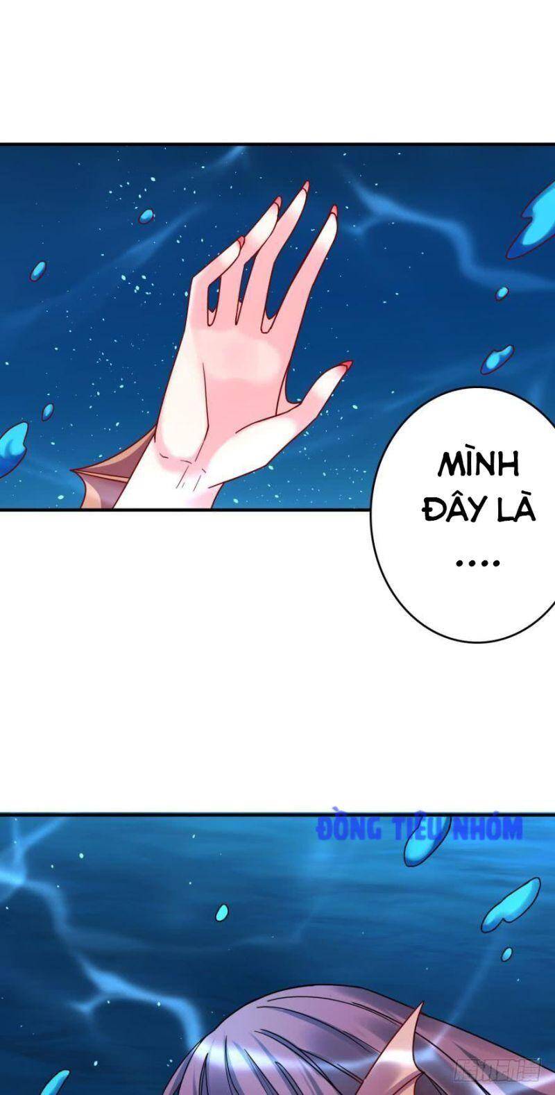 Nhân Ngư Học Trưởng, Đừng Ôm Ta! Chapter 68 - 5