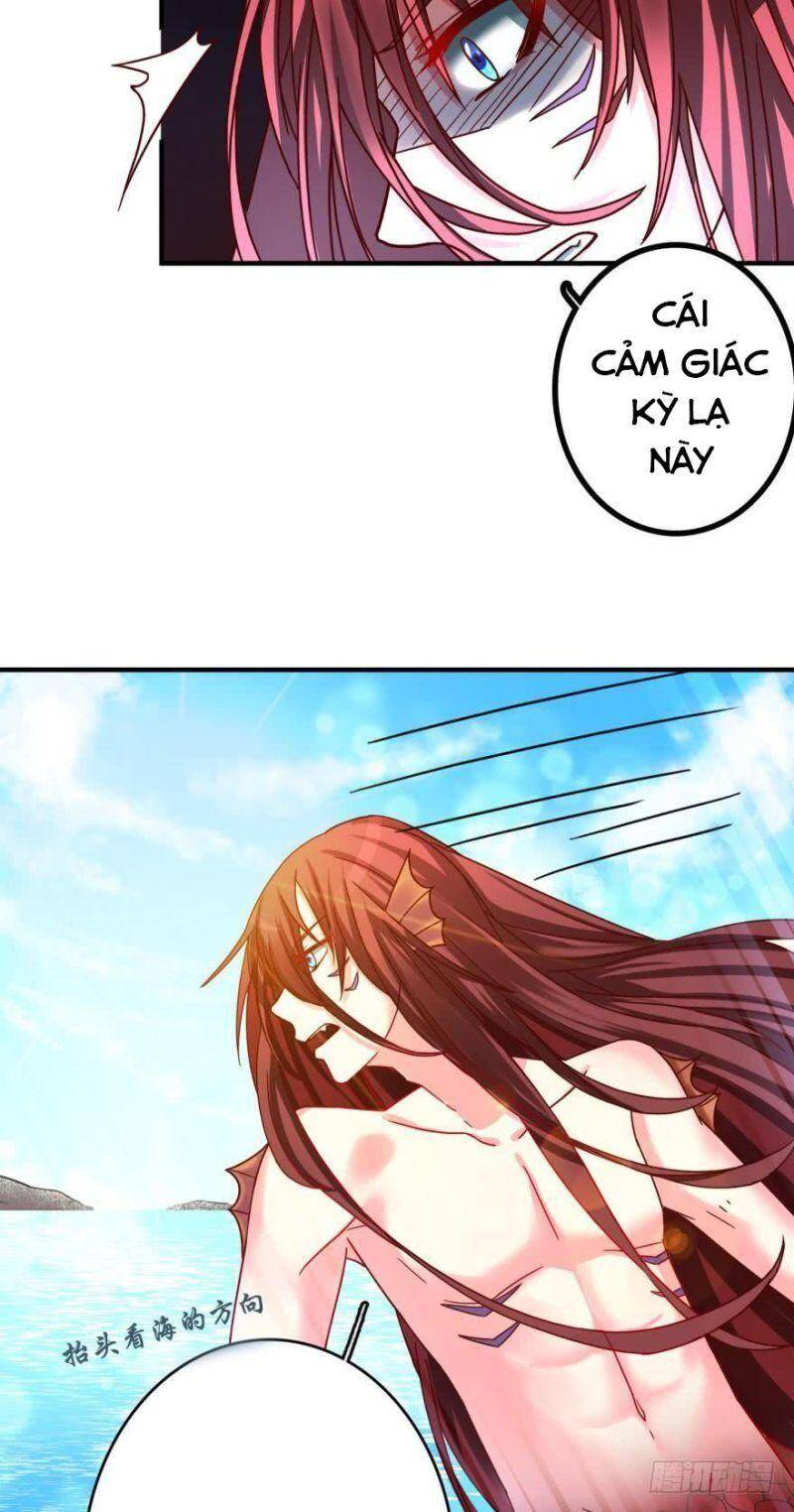 Nhân Ngư Học Trưởng, Đừng Ôm Ta! Chapter 69 - 19