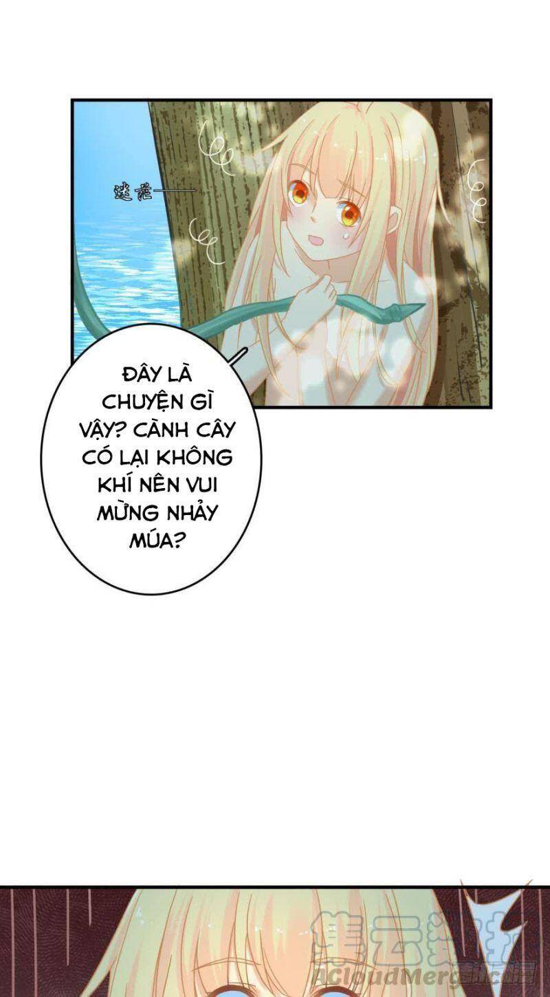 Nhân Ngư Học Trưởng, Đừng Ôm Ta! Chapter 71 - 30