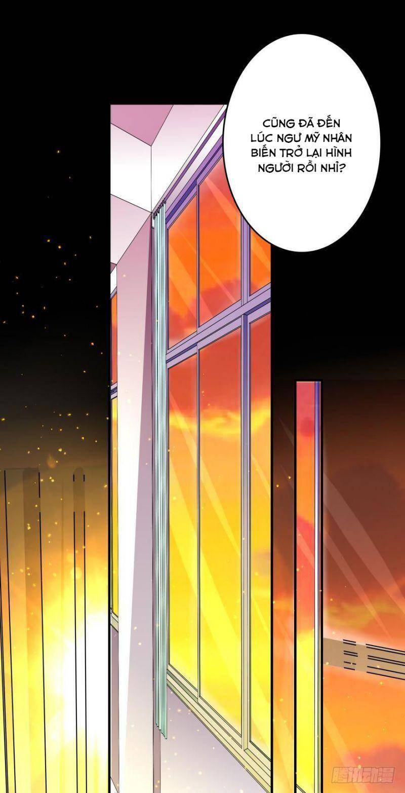 Nhân Ngư Học Trưởng, Đừng Ôm Ta! Chapter 8 - 42