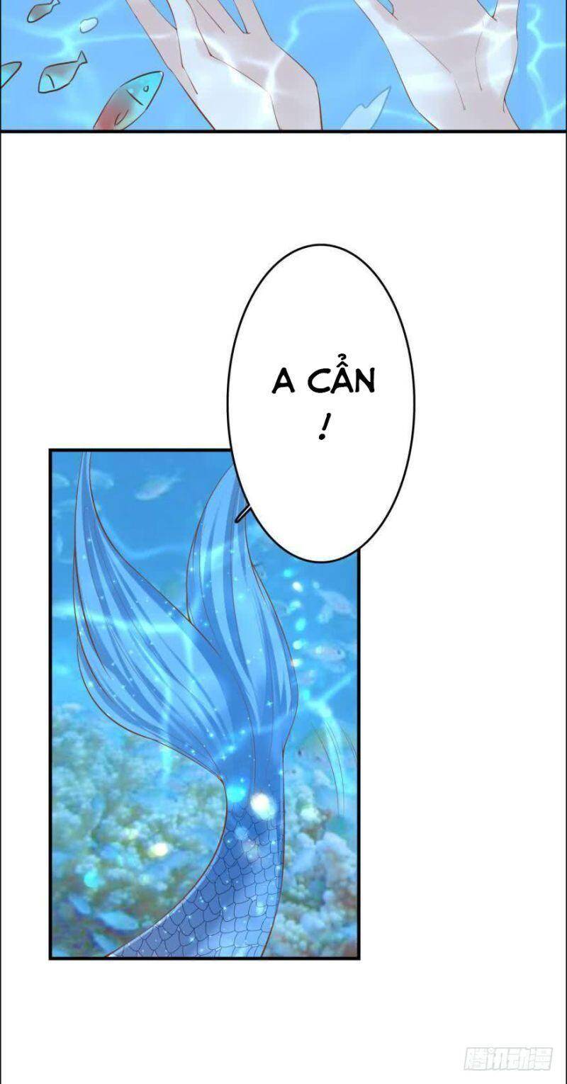 Nhân Ngư Học Trưởng, Đừng Ôm Ta! Chapter 80 - 7