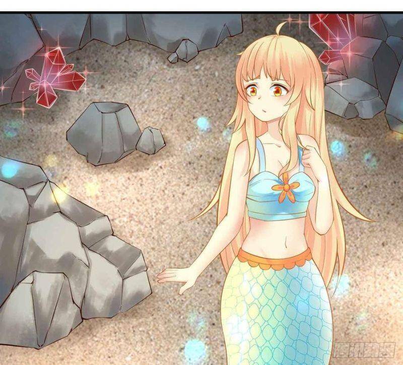 Nhân Ngư Học Trưởng, Đừng Ôm Ta! Chapter 84 - 23