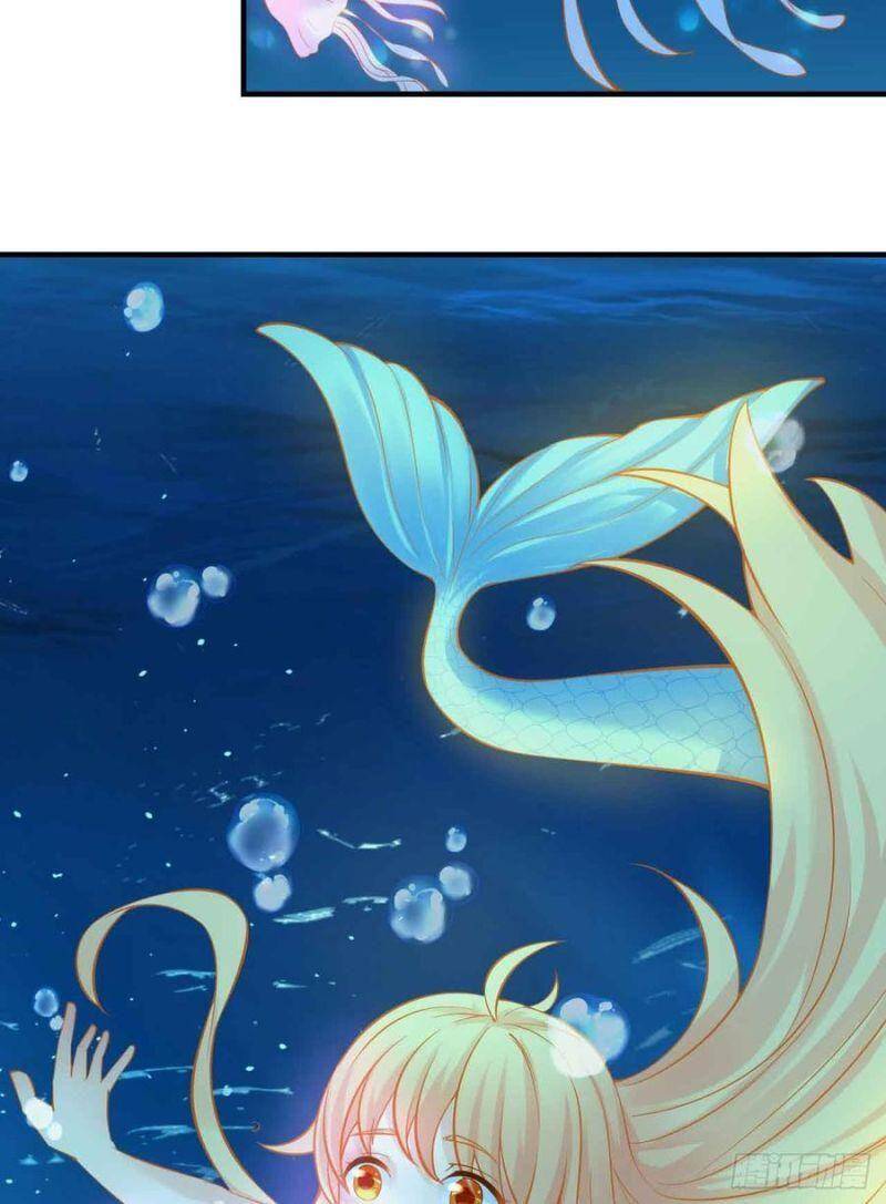 Nhân Ngư Học Trưởng, Đừng Ôm Ta! Chapter 84 - 28