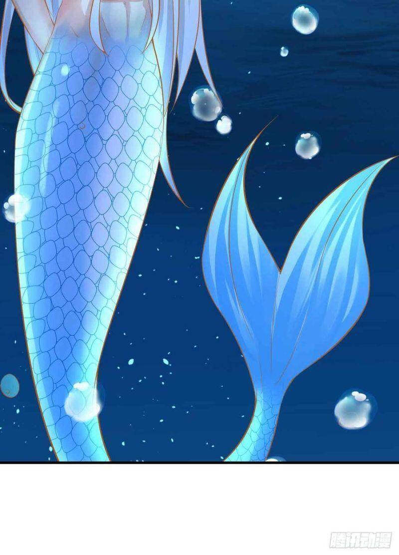 Nhân Ngư Học Trưởng, Đừng Ôm Ta! Chapter 84 - 31