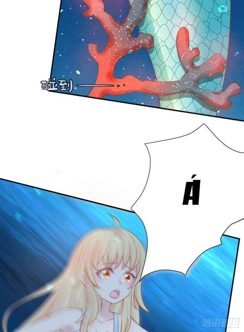 Nhân Ngư Học Trưởng, Đừng Ôm Ta! Chapter 85 - 35