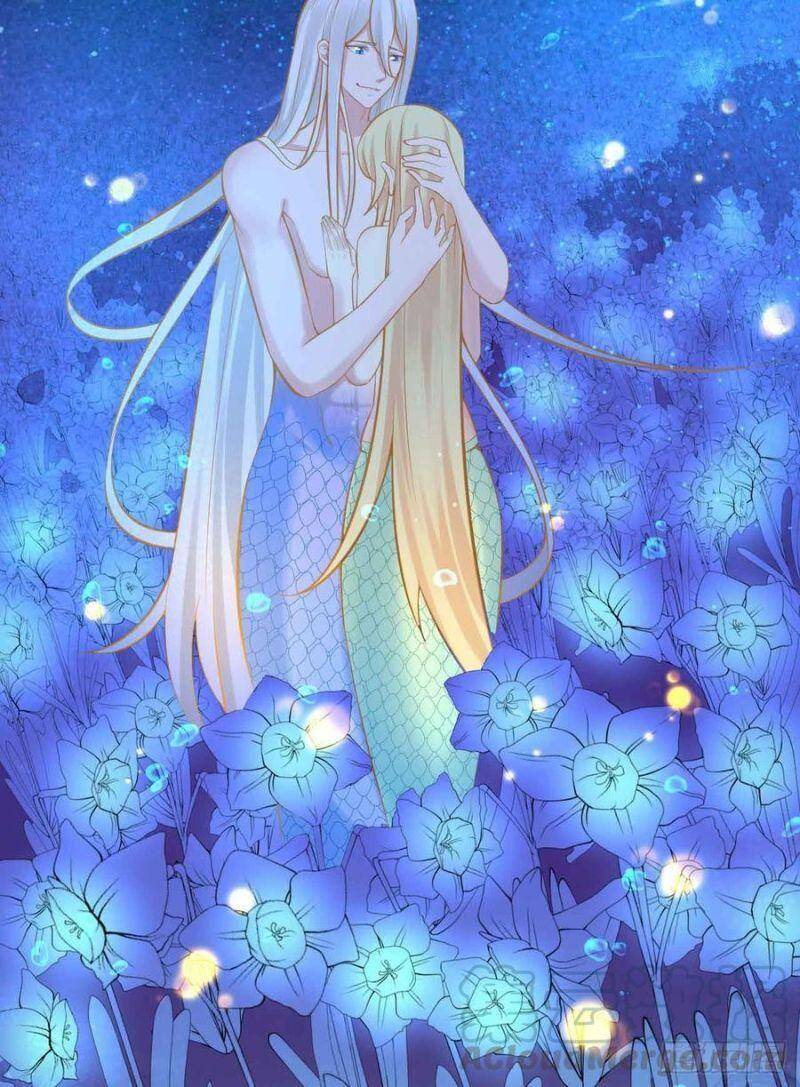 Nhân Ngư Học Trưởng, Đừng Ôm Ta! Chapter 85 - 42