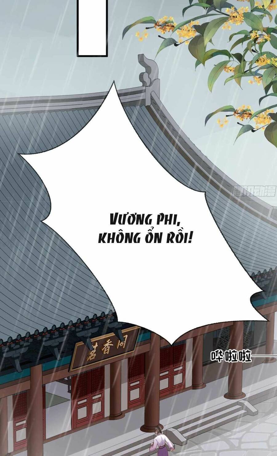 Sự Trả Thù Của Vương Phi Chapter 21 - 29