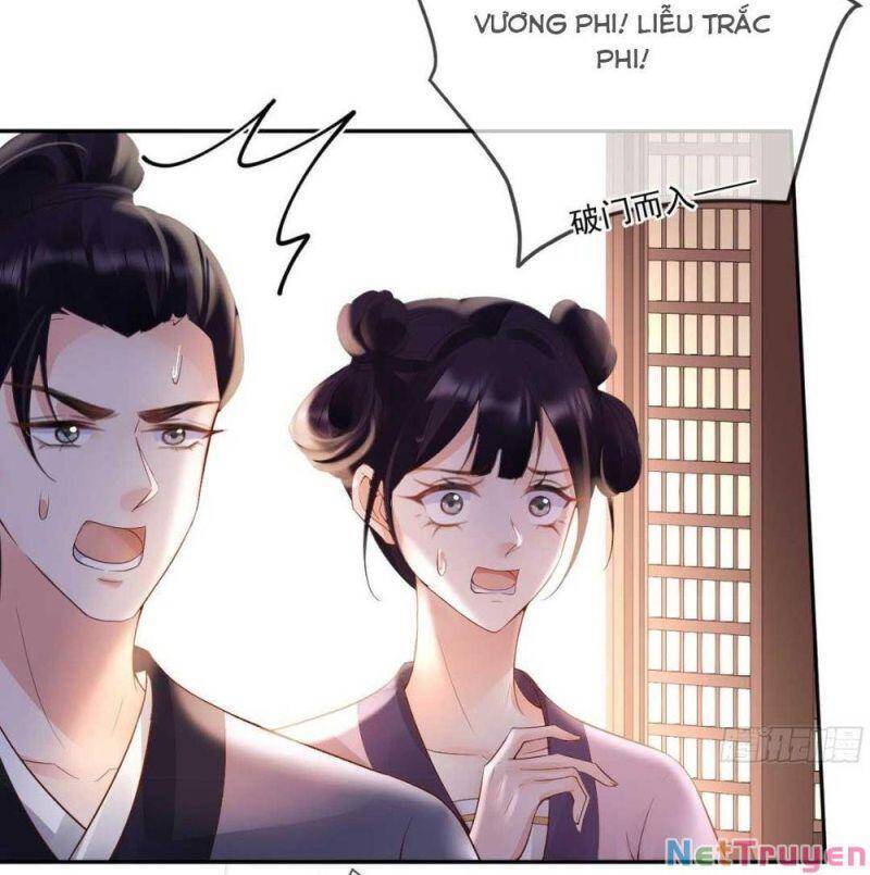 Sự Trả Thù Của Vương Phi Chapter 25 - 27