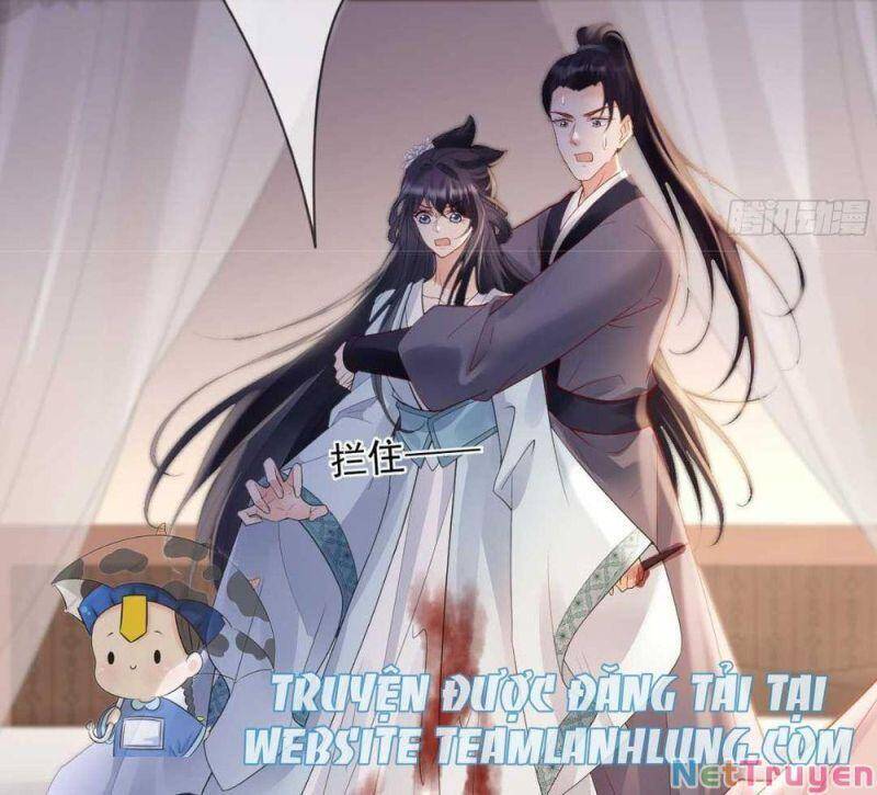 Sự Trả Thù Của Vương Phi Chapter 25 - 29