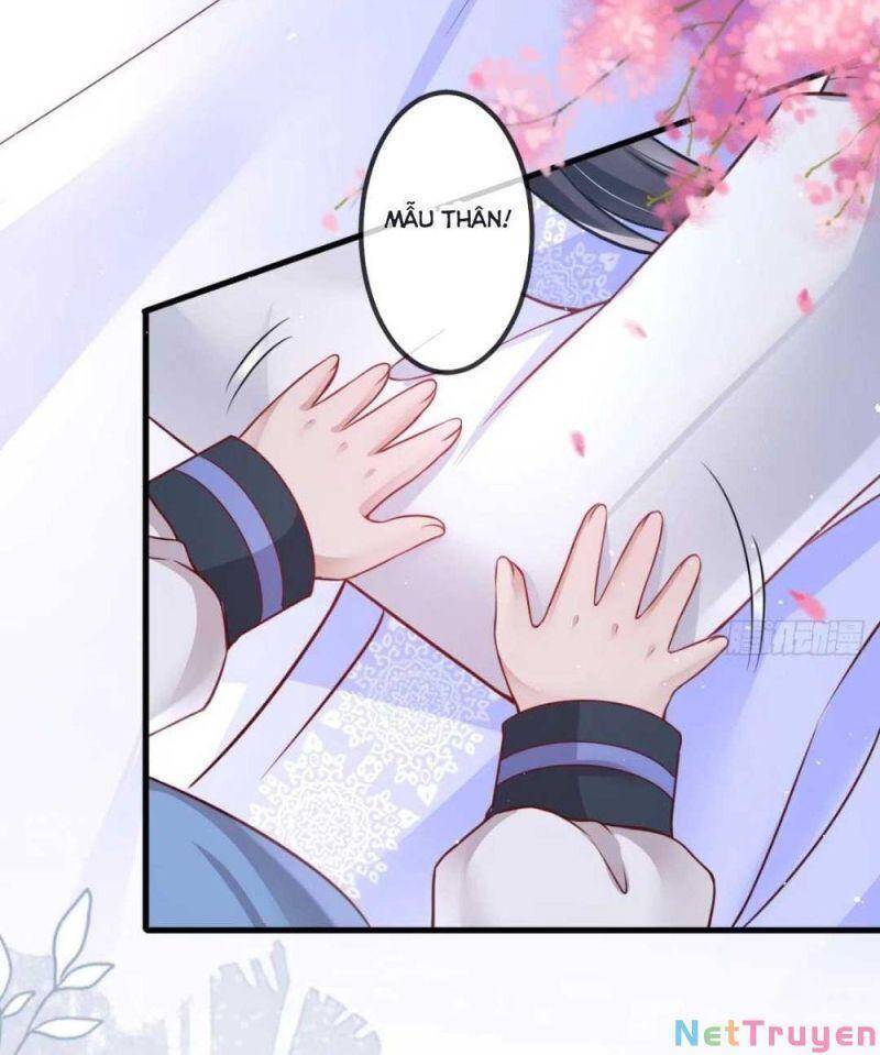 Sự Trả Thù Của Vương Phi Chapter 3 - 35