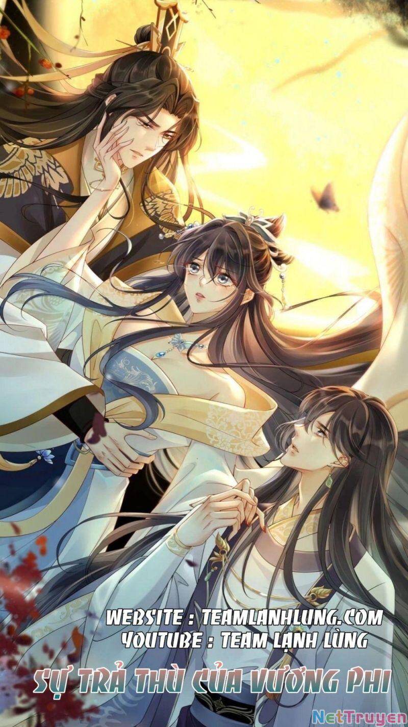 Sự Trả Thù Của Vương Phi Chapter 6 - 1