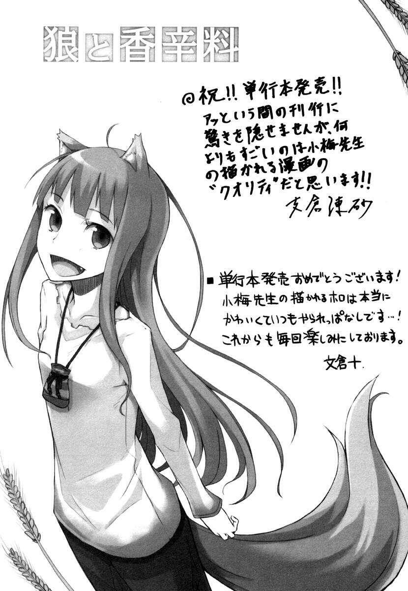 Ookami To Koushinryou Chapter 6 - 29