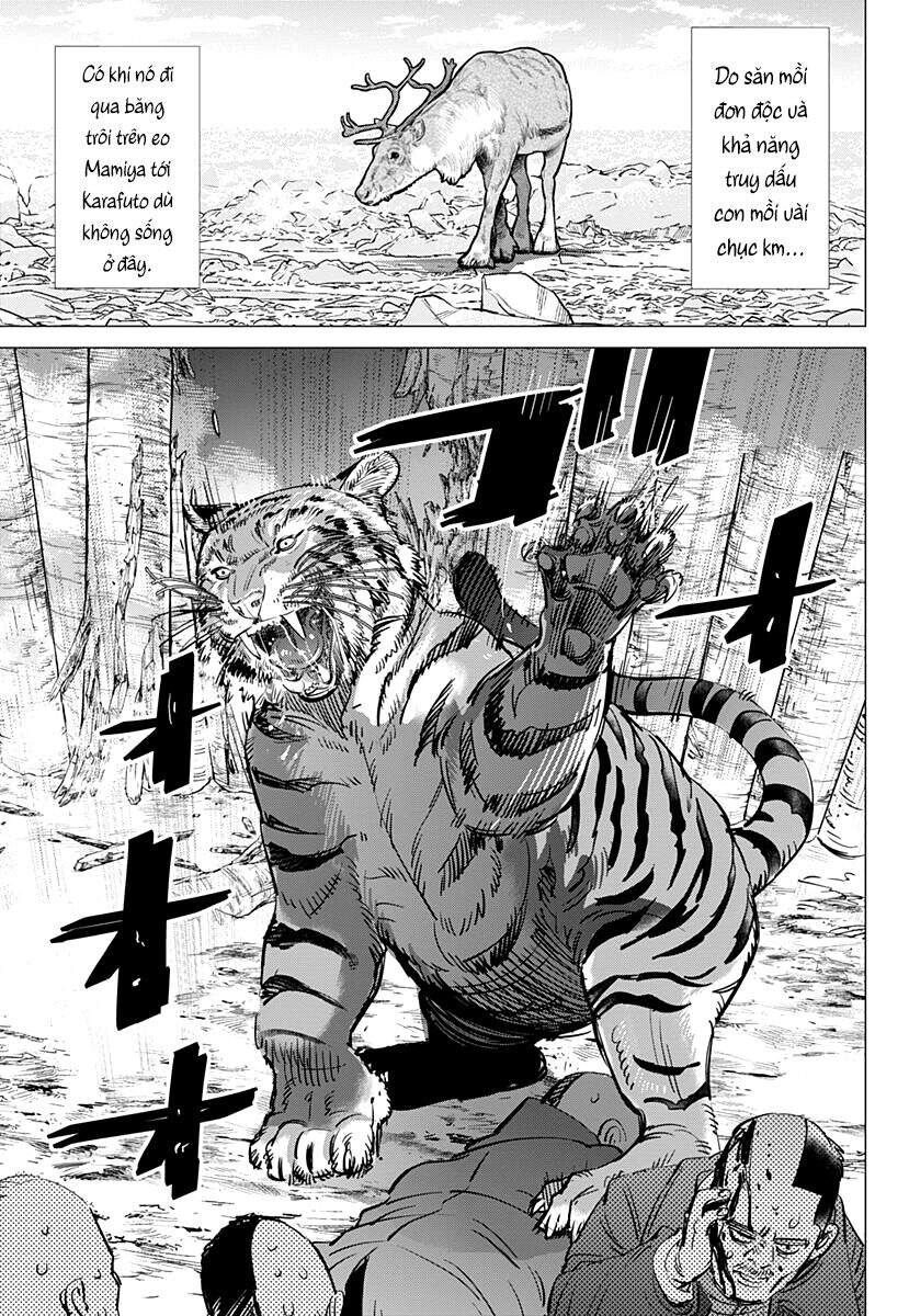 Cơn Sốt Vàng Sau Chiến Tranh Chapter 181 - 7