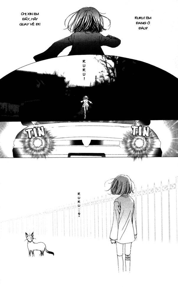 Last Quarter Chapter 2 - 11