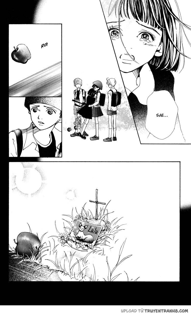 Last Quarter Chapter 6 - 27